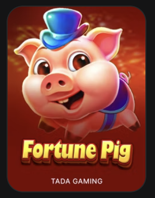 Fortune Pig